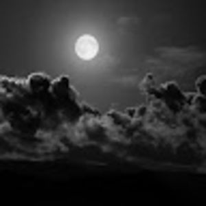 Meet your Posher, Charline